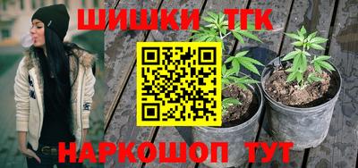 стаф Новокубанск