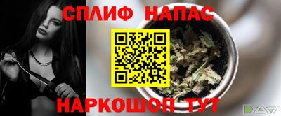 стаф Новокубанск