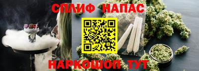 стаф Новокубанск
