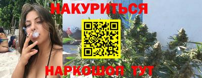 стаф Новокубанск