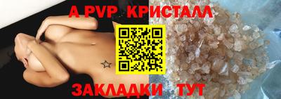 стаф Новокубанск