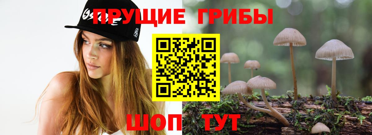 Ртищево  Галлюциногенные грибы ЛСД  Вход с VPN 